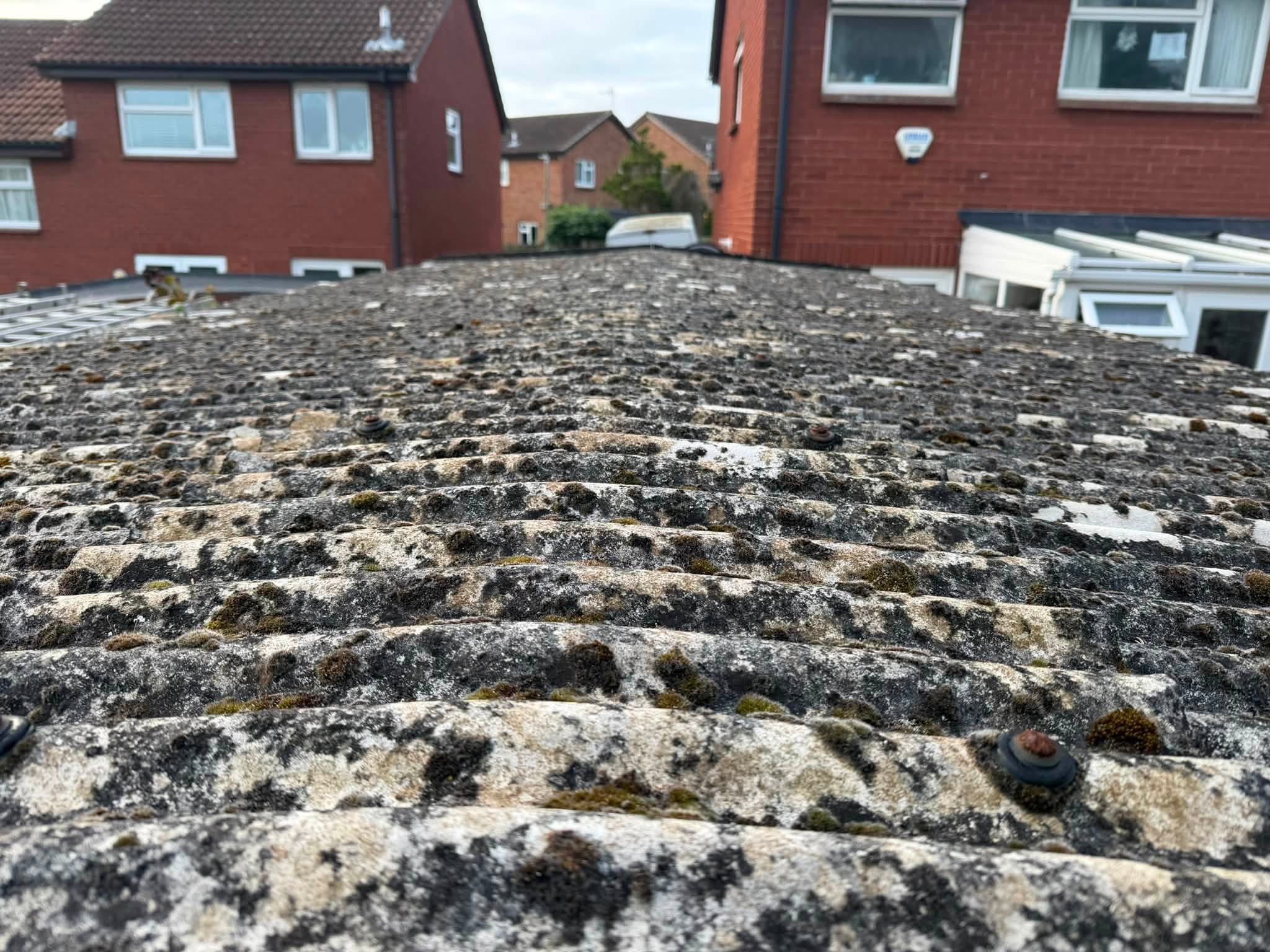 Asbestos cement garage roof covered in moss